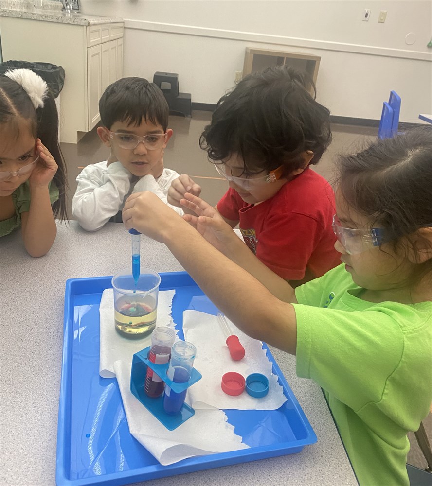 Bricks Bots and Beakers Photo Gallery