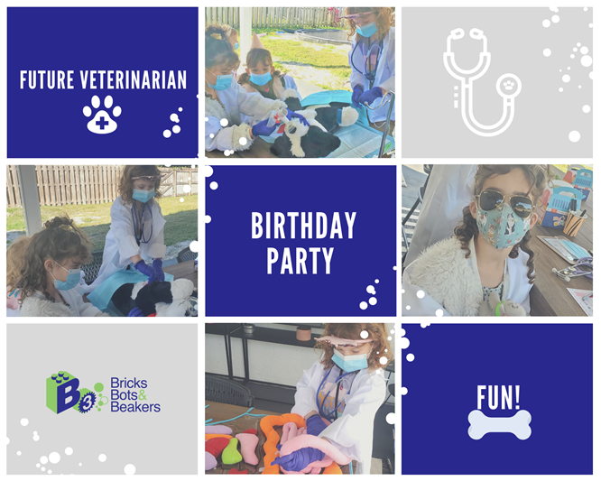 Bricks Bot & Beakers of South Florida Bricks Bots & Beakers STEAM